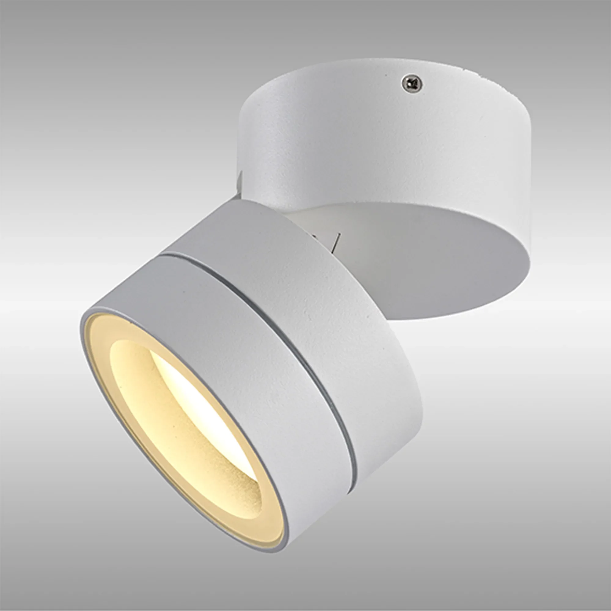 Saler Adjustable Outdoor Ceiling Spotlight/Wall Light- Various Finishes - Image 20