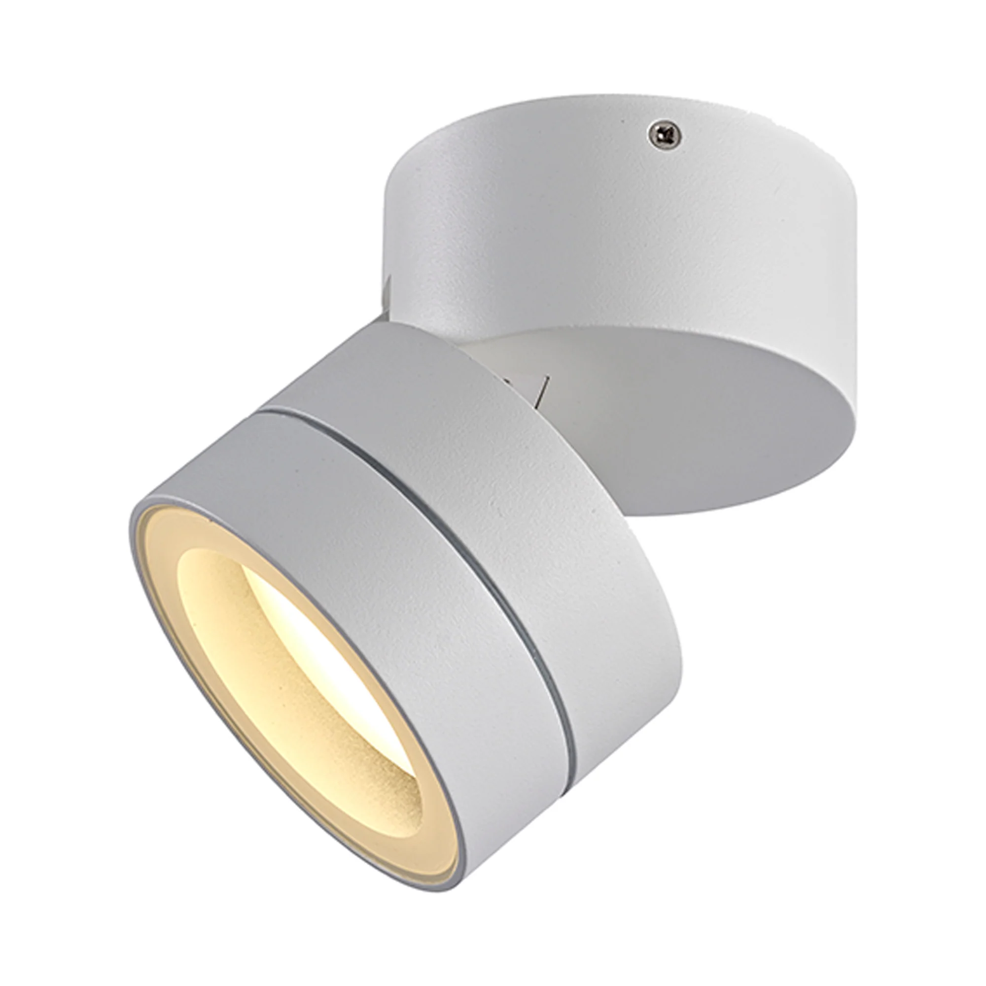 Saler Adjustable Outdoor Ceiling Spotlight/Wall Light- Various Finishes - Image 26