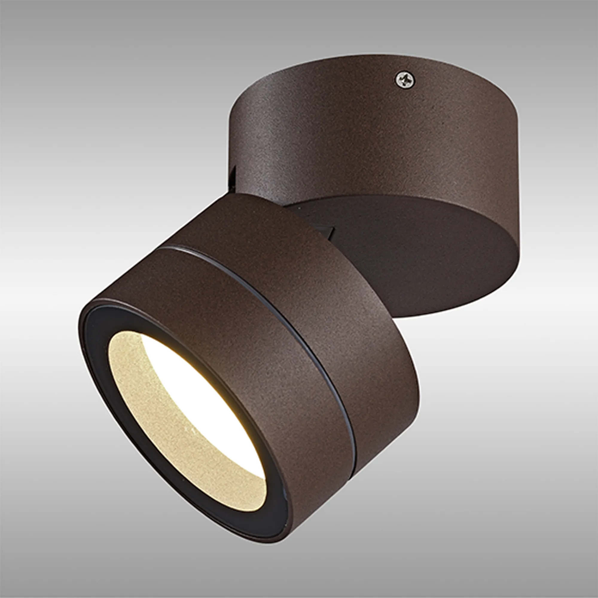 Saler Adjustable Outdoor Ceiling Spotlight/Wall Light- Various Finishes - Image 28