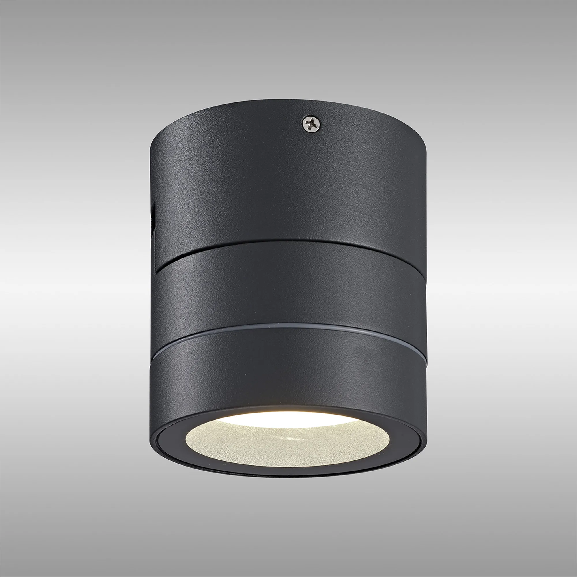 Saler Adjustable Outdoor Ceiling Spotlight/Wall Light- Various Finishes - Image 35