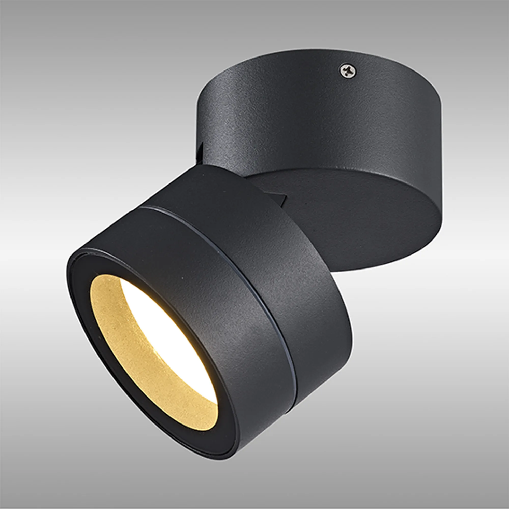 Saler Adjustable Outdoor Ceiling Spotlight/Wall Light- Various Finishes - Image 37