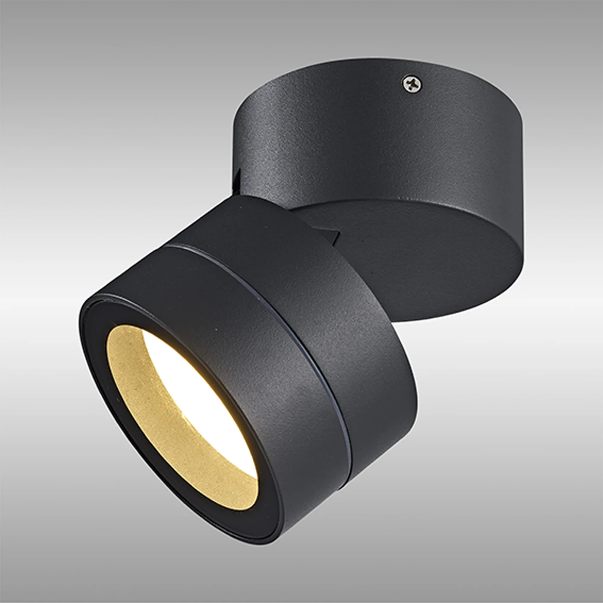 Saler Adjustable Outdoor Ceiling Spotlight/Wall Light- Various Finishes - Image 43