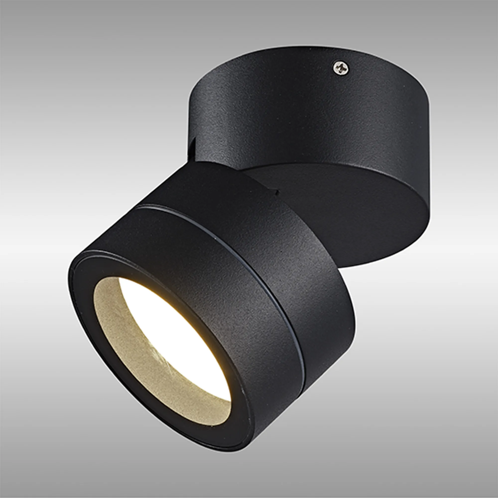 Saler Adjustable Outdoor Ceiling Spotlight/Wall Light- Various Finishes - Image 45