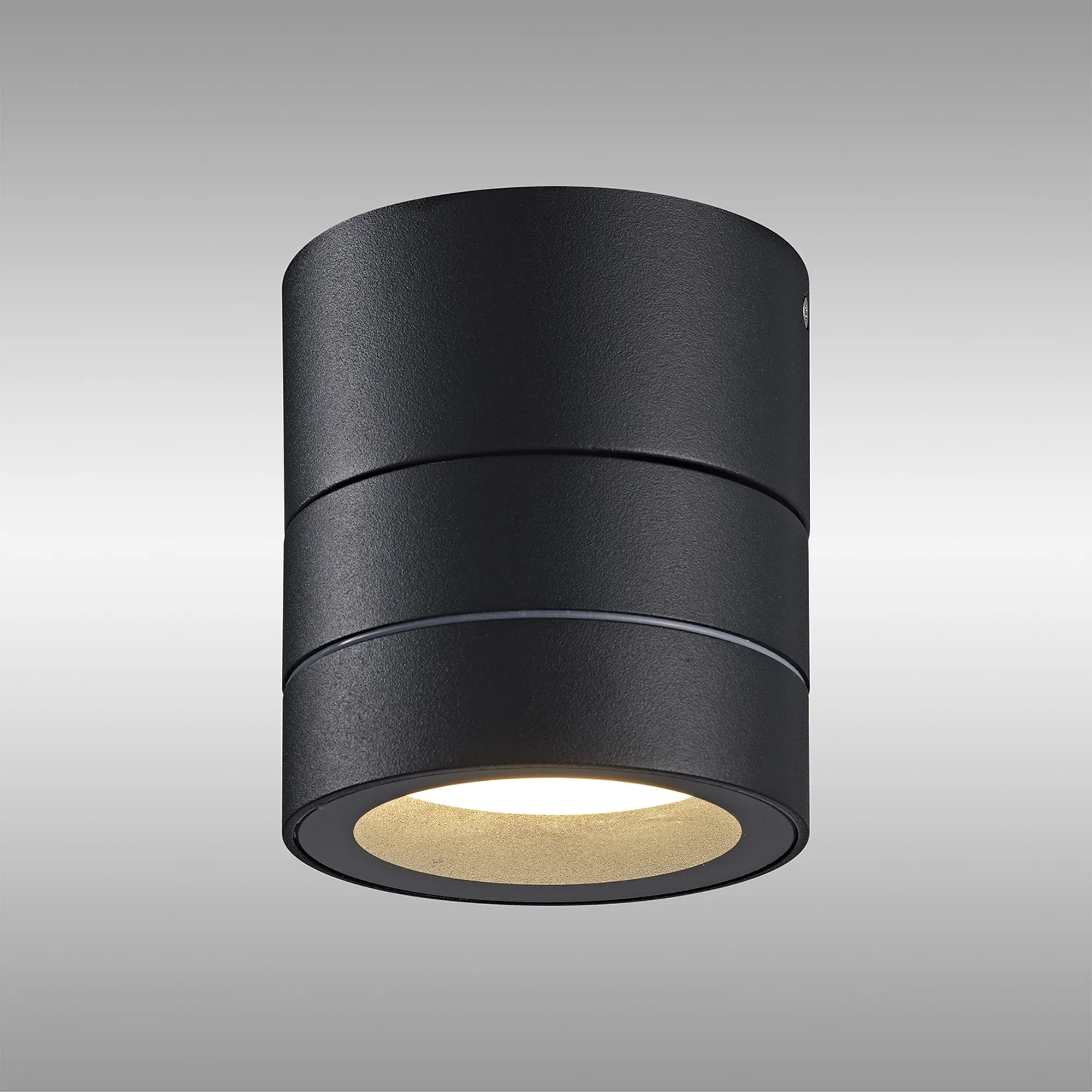 Saler Adjustable Outdoor Ceiling Spotlight/Wall Light- Various Finishes - Image 51