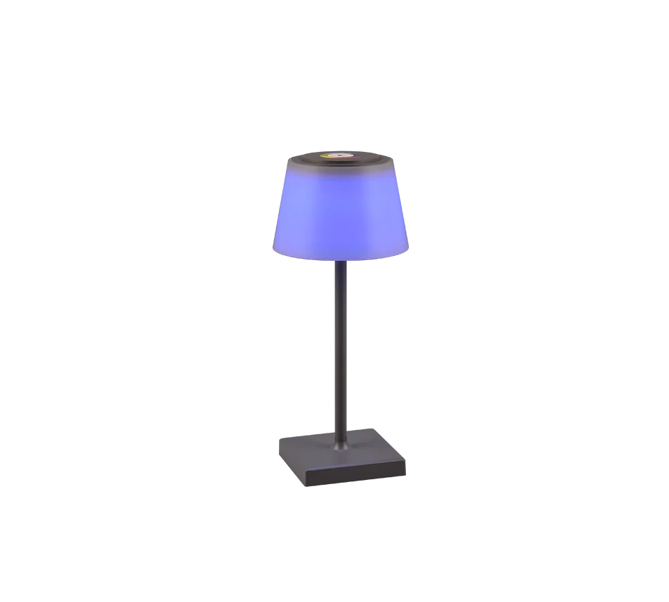 Sanchez LED Outdoor Rechargeable Table Lamp - Anthracite/White - Image 10