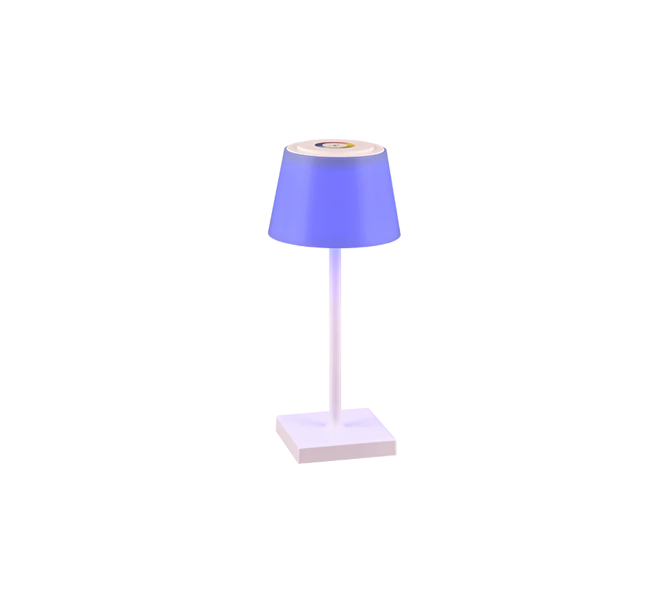 Sanchez LED Outdoor Rechargeable Table Lamp - Anthracite/White - Image 5