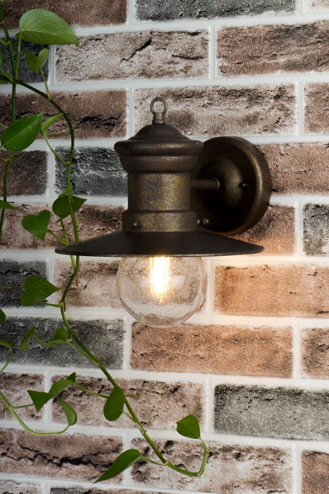 Sedgewick 1Lt Outdoor Wall Light - Black/Bronze - Image 4