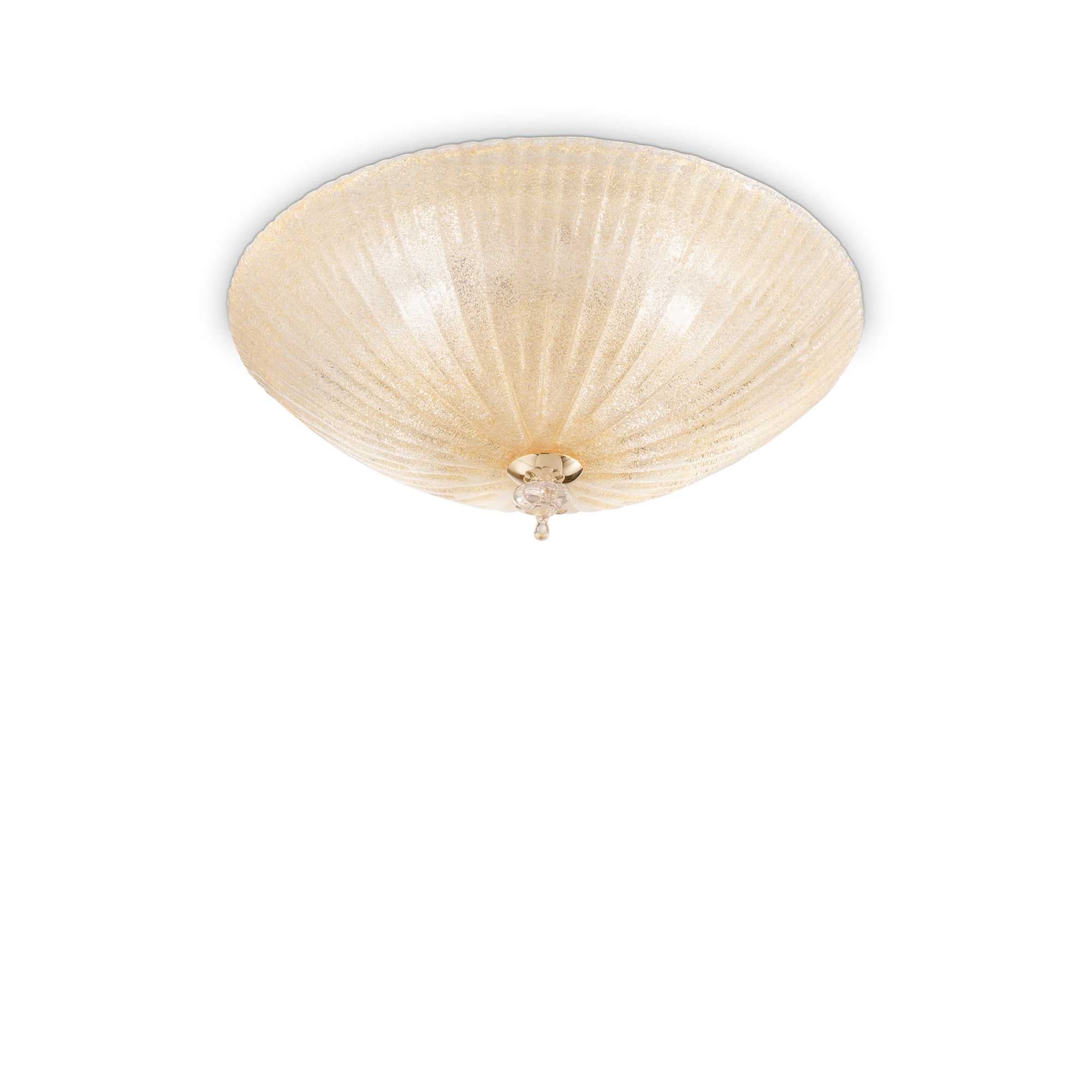 Shell Flush Light Amber Finish - Promotional Offer
