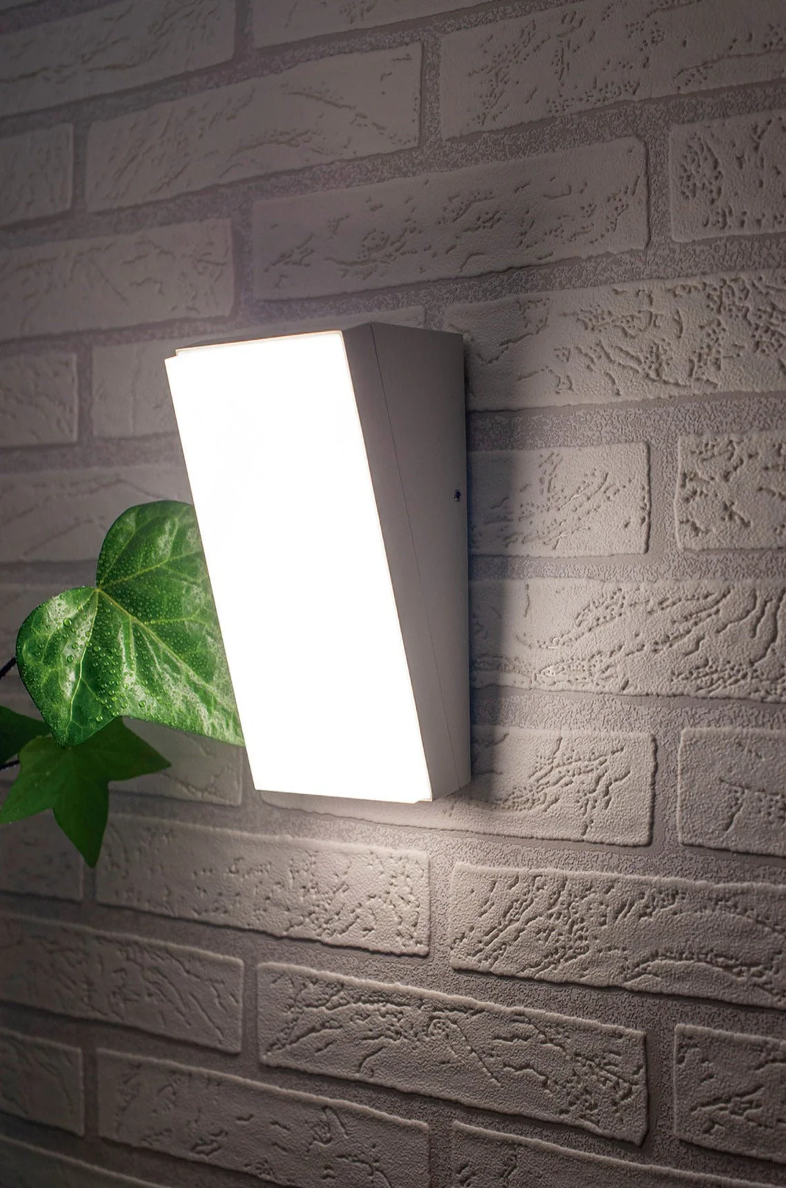 Solden , White/Dark Grey , 3yrs Warranty - Image 12