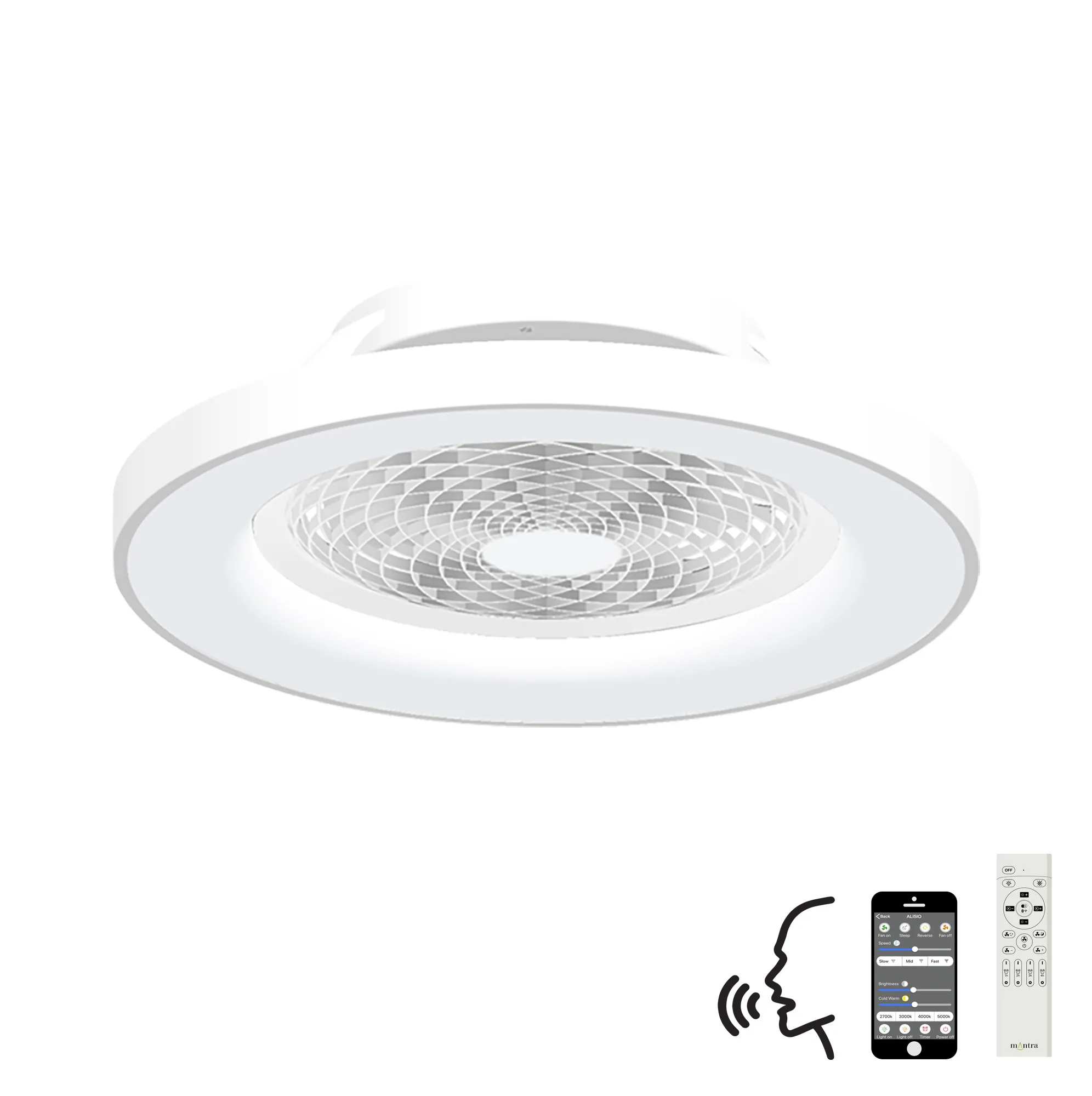 Tibet LED Light Fan, Alexa/Google Voice Controls - Various Finishes - Image 2