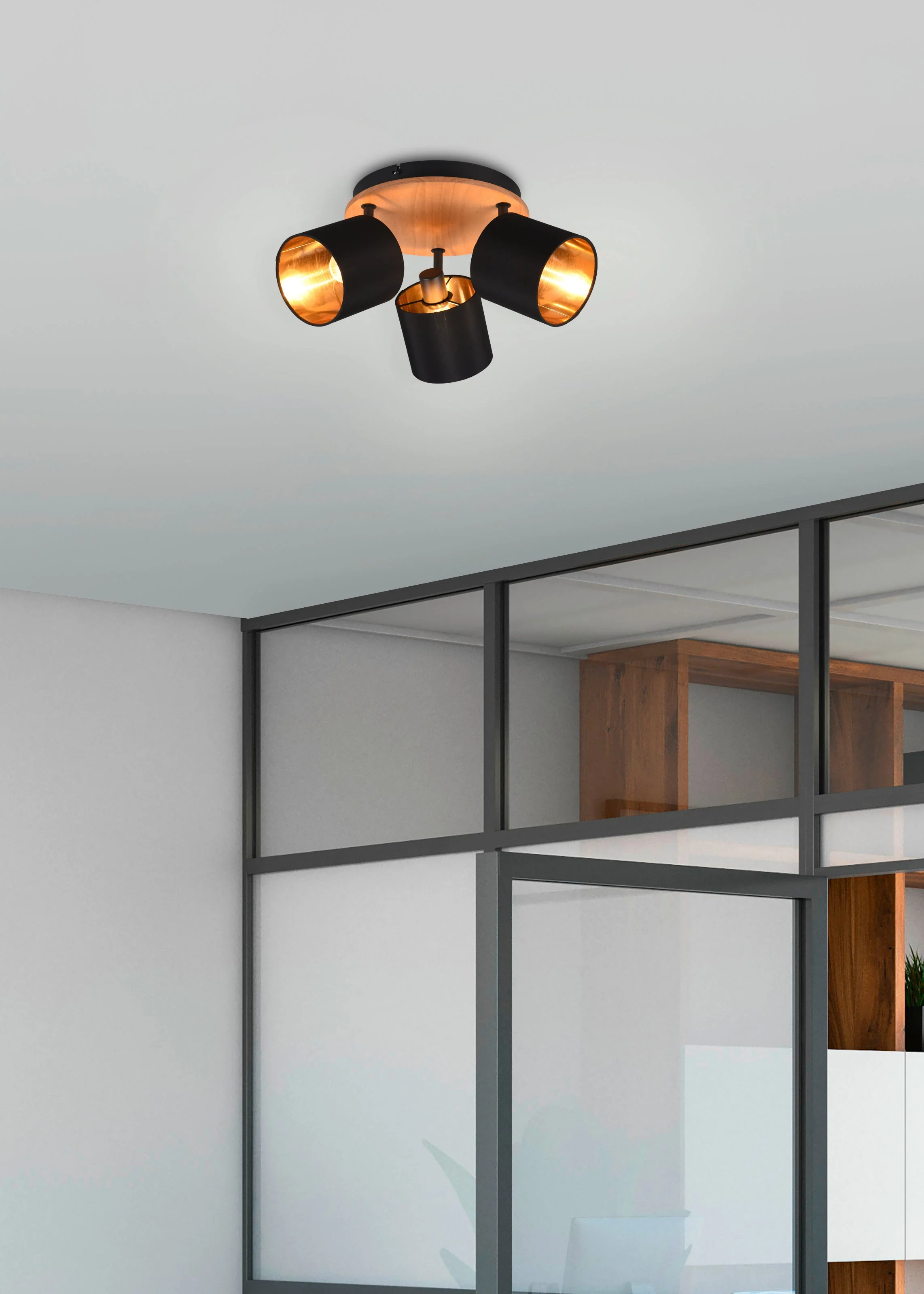Tommy 3Lt Round Plate Spotlight - Various Finishes - Image 4