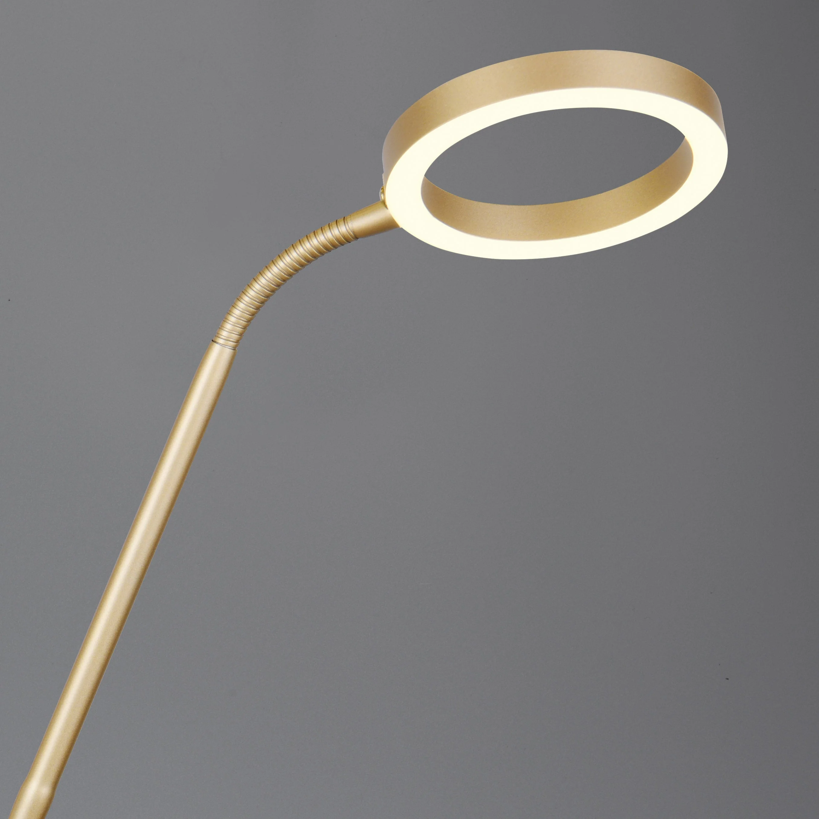 Willis LED Reading Floor Lamp - Various Colours - Image 4