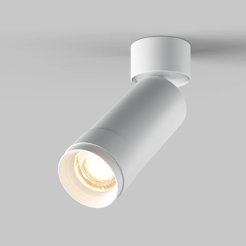 Zoom Focus Ceiling Light- Black & White Finishes - Image 3