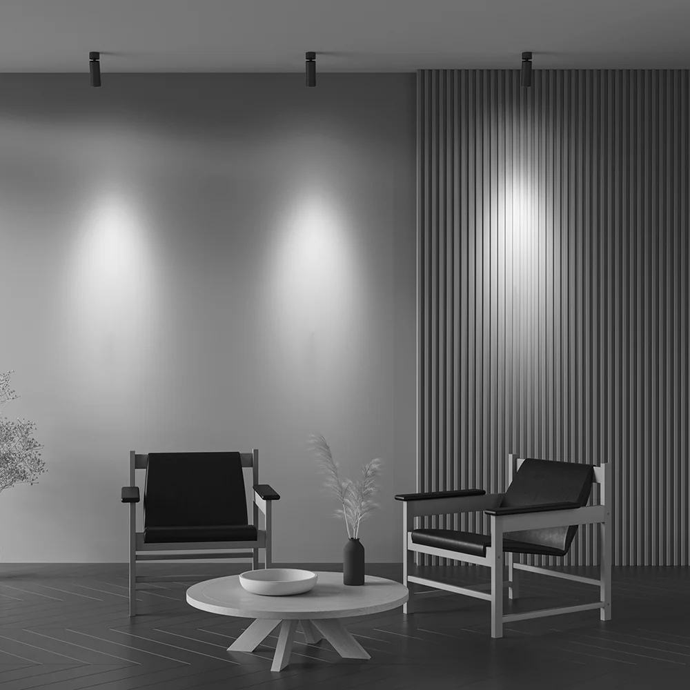 Zoom Focus Ceiling Light- Black & White Finishes - Image 5